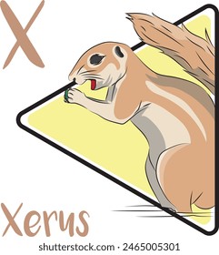 Xerus is diurnal and mostly herbivorous. They go out hunting for food daily and don’t keep steady storage. They don’t live in trees, creating more comfortable habitats in burrows in the desert.