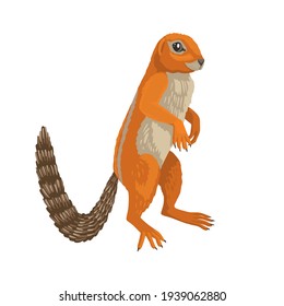 Xerus inauris, ground squirrel, African animal. Cute animal, children's illustration, ginger animal smiling. Vector character on white background, isolated object.