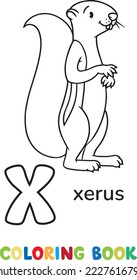 Xerus or squirrel. Children vector illustration. Animals ABC coloring book for kids. Letter X