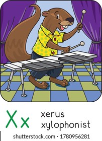 Xerus xylophonist Animals ABC for kids. Alphabet X