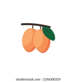 Ximenia Caffra Fruit Flat Design Vector Illustration Isolated on a White Background.