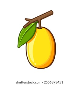 Ximenia drawing in a simple style. You can use it for children books, web design, posters, campaigns, and many more. 