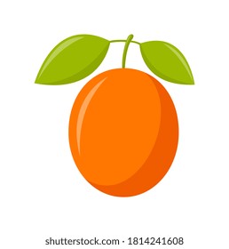 Ximenia with green leaves isolated on white background, flat design, fruit vector illustration
