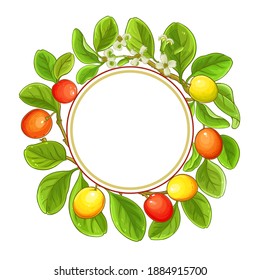 marco vectorial de ximenia sobre fondo blanco