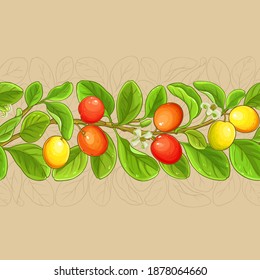 patrón vectorial de ximenia en el fondo del color