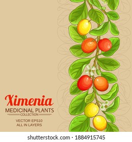 patrón vectorial de ximenia en el fondo del color