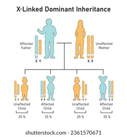 X-Linked Dominant Inheritance Concept Design. Vector illustration.