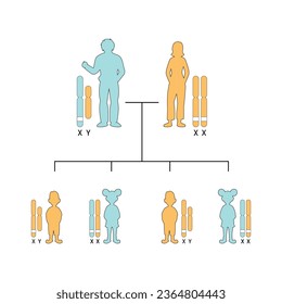 X-Linked Dominant Inheritance Concept Design. Vector illustration.