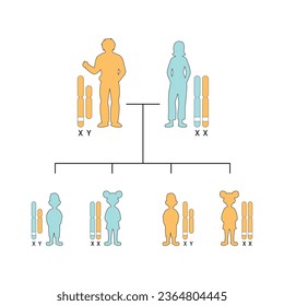 X-Linked Dominant Inheritance Concept Design. Vector illustration.