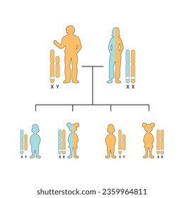 X-Linked Recessive Inheritance Concept Design. Vector illustration.