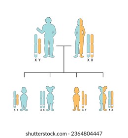 X-Linked Recessive Inheritance Concept Design. Vector illustration.