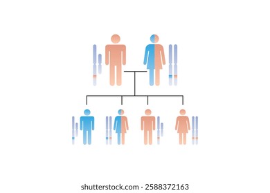 X-Linked Recessive Inheritance Science Design. Vector Illustration.