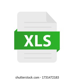 The XLS icon. File format symbol. Flat Vector illustration