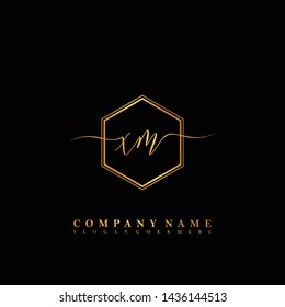 XM Initial luxury handwriting logo vector