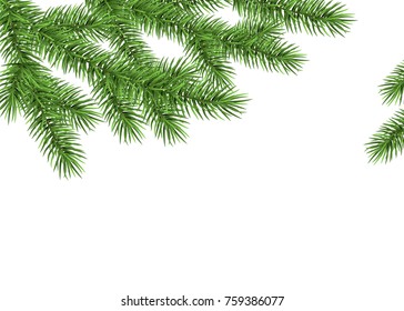 Xmas background with spruce branch. Green fir. Realistic Christmas tree. Vector illustration for  cards, banners, flyers, New year party posters.