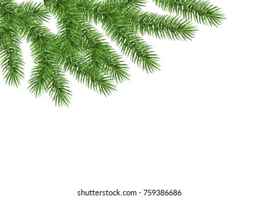 Xmas background with spruce branch. Green fir. Realistic Christmas tree. Vector illustration for  cards, banners, flyers, New year party posters.