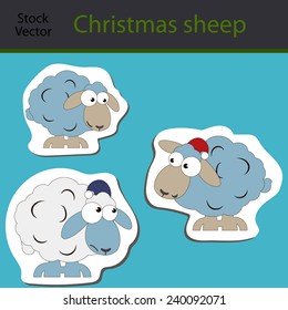 Xmas  funny sheeps blue color