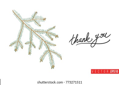 Xmas greeting card with big fir twig and text: thank you. Cute composition for Merry Christmas and New Year celebration. Isolated vector art on white background.