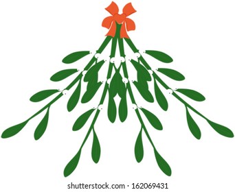 XMas mistletoe branch