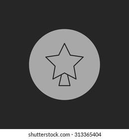 xmas star icon