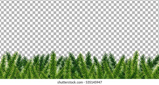Xmas Tree Branches With Gradient Mesh, Vector Illustration