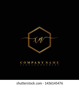 XN Initial luxury handwriting logo vector