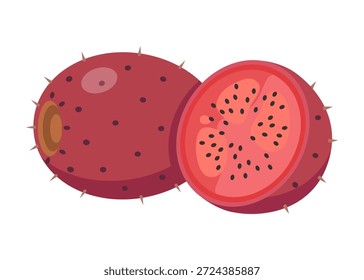 Ilustración vectorial de frutas Xoconostle. Cactus de pera agria mexicana fresca con mitades enteras y en rodajas aisladas