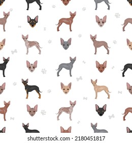 Xoloitzcuintle, Mexican hairless dog miniature seamless pattern. Different poses, coat colors set.  Vector illustration