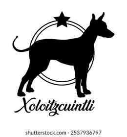 Xoloitzcuintli. dog silhouette,  dog, dog breeds, logo, vector, silhouette, logo design, animal, illustration, icon, sign, design, black,  symbol, pet