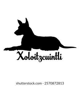 Xoloitzcuintli dog silhouette, dog breeds, logo, vector, silhouette,  animal, illustration, icon, sign, design, black, symbol, pet, love
