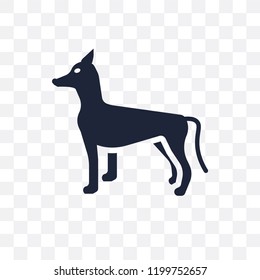 Xoloitzcuintli dog transparent icon. Xoloitzcuintli dog symbol design from Dogs collection. Simple element vector illustration on transparent background.