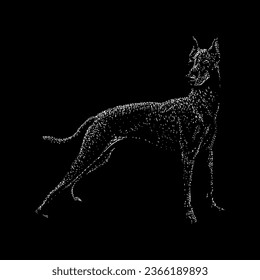 xoloitzcuintli handgezeichnete Vektorgrafik einzeln auf schwarzem Hintergrund.