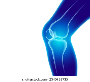 X-ray anatomy of the knee joint and human leg. Used to assemble bone nourishing products, medical health, osteopathic hospitals, nourishing vitamins. vector realistic illustration.