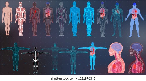 X-Ray Body Collections in Futuristic HUD SCI Style. Modern Scan of Internal Ograns and Human Body. Healthcare Images ( Structure and Arrangement of Organs and DNA Formula) Hud Sci vector collection