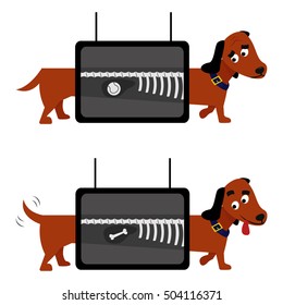 X-ray dog examination vector illustration. Animal health veterinary medicine.