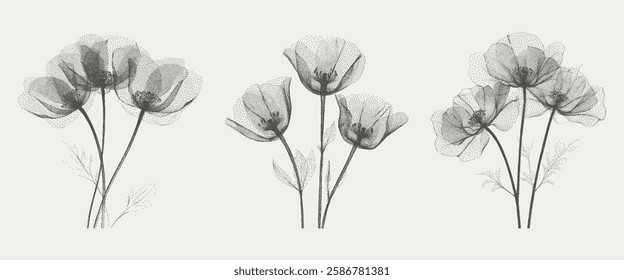 X-ray effect flowers for collages in retro photocopy style. Vector illustration in vintage grayscale brutal design.