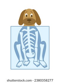 X-ray examination dog. Animal health veterinary medicine.