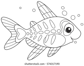 X-ray fish