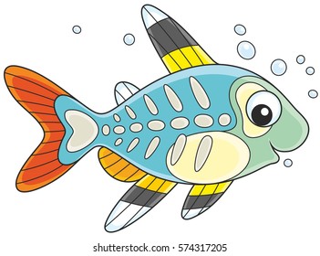 X-ray fish