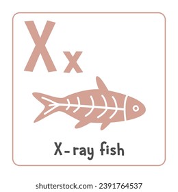 X-ray fish clipart. X ray fish vector illustration cartoon flat style. Animals start with letter X. Animal alphabet card. Learning letter X card. Kids education. Cute x ray fish vector design