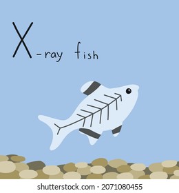 X-ray fish in water. Letter X from the alphabet. Cute baby animal illustration.