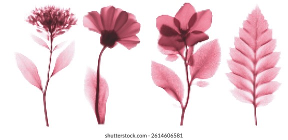 X-ray Flower Bundle: Transparent Pink and Red Grunge Kit with Halftone and Stipple Effects, Vintage Silhouettes, Retro Botanical Collage Aesthetic, 90s Punk Style.