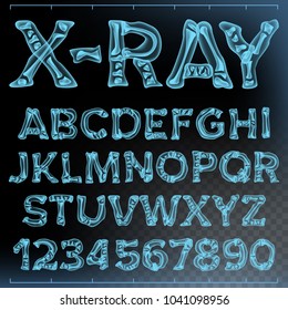 X-ray Font Vector. Transparent Roentgen Alphabet. Radiology 3D Scan. Abc. Blue Bone. Medical Typography. Capitals Letters And Numbers. Isolated Illustration