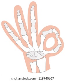 x-ray hand isolated on white background vector