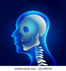 Xray of head and neck, the joints and bones of human, skeletal spinal bone structure of Human Spine, vector of medical health care.