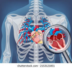 X-ray of human body with internal organs illustration