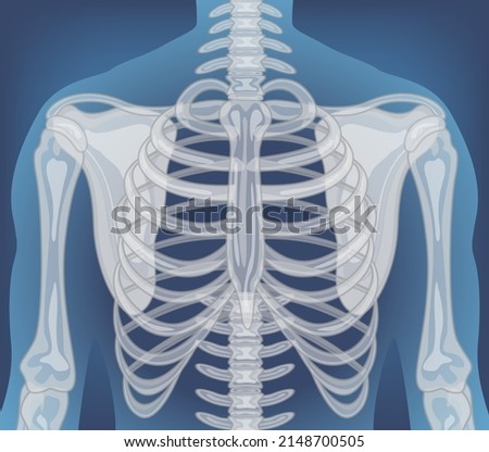 X-ray of human body with internal organs illustration