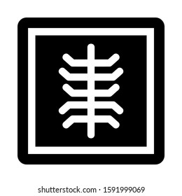 x-ray icon isolated sign symbol vector illustration - high quality black style vector icons
