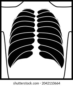 X-Ray icon on white background. radiologist x-ray sign. checkup symbol. flat style.