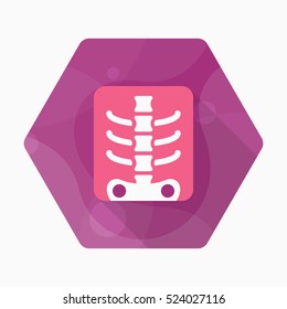 X-ray icon , Vector flat long shadow design.